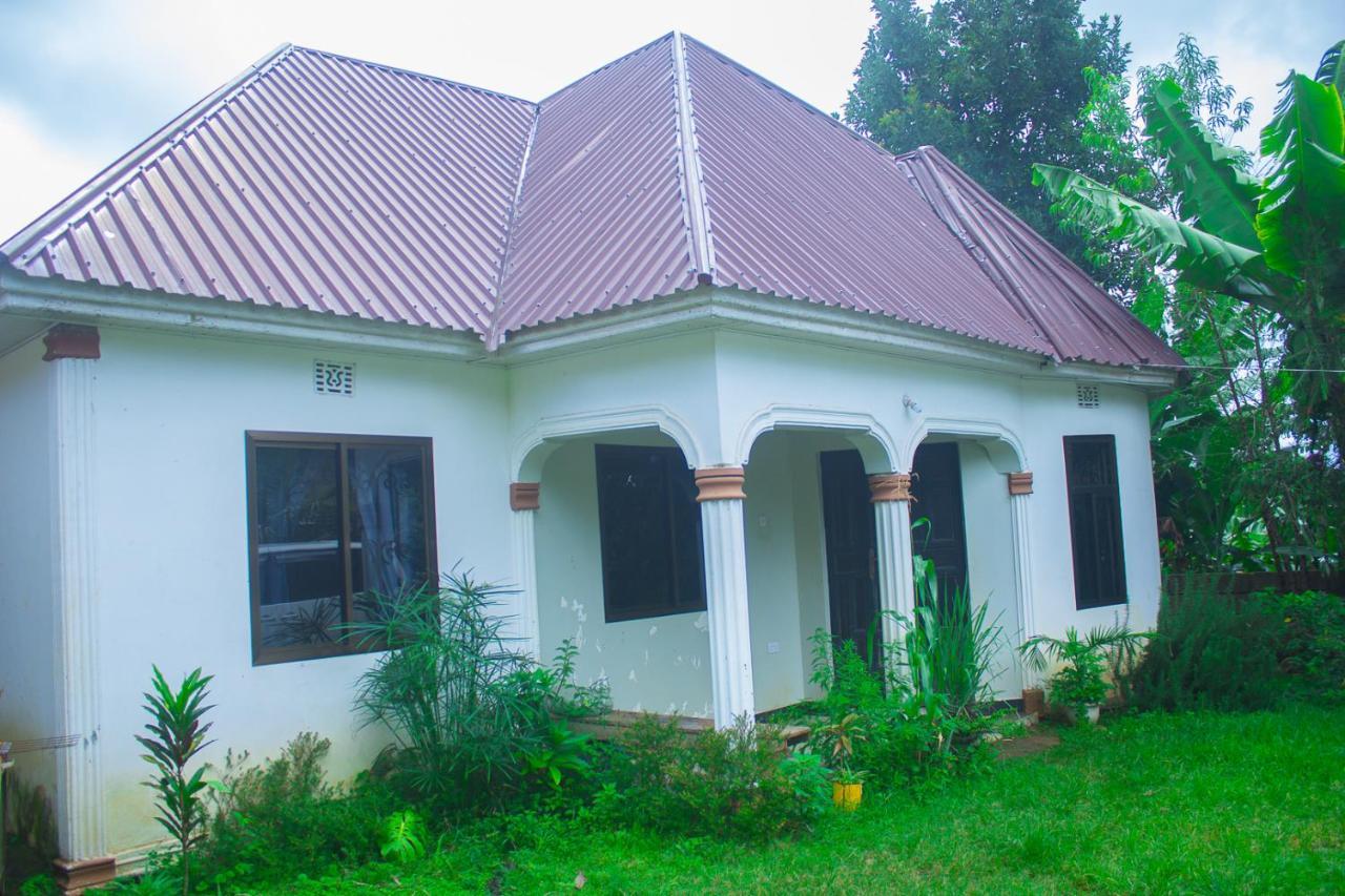New Dream House Bed & Breakfast Arusha Eksteriør bilde